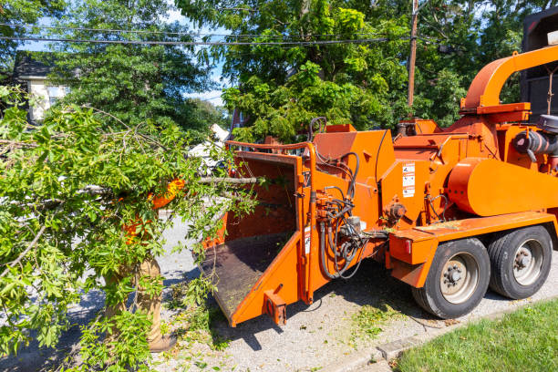 Tree Branch Trimming in Parkesburg, PA